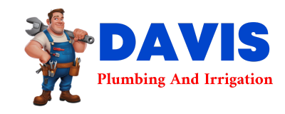 Trusted plumber in TRACYS LANDING